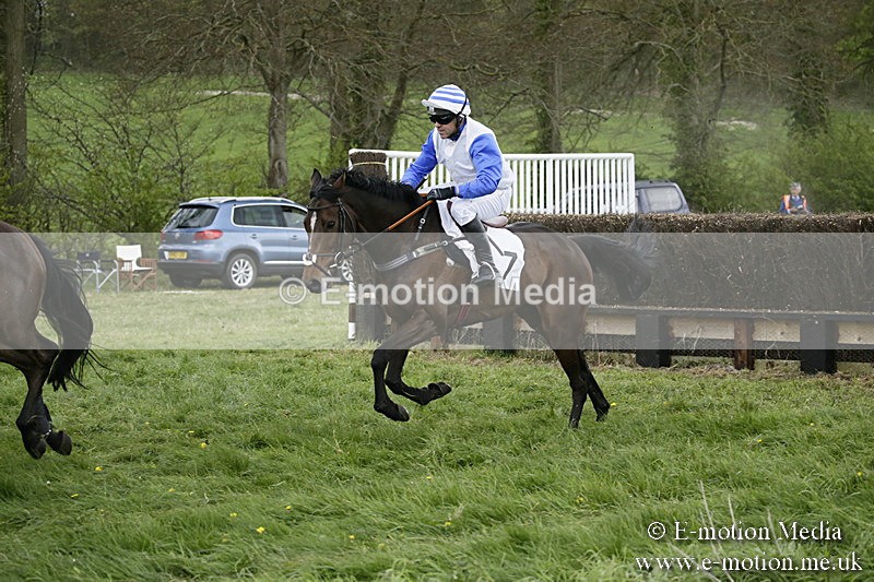 PtP 170417 519 - Old Berks Point-to-Point Lockinge 17/04/17