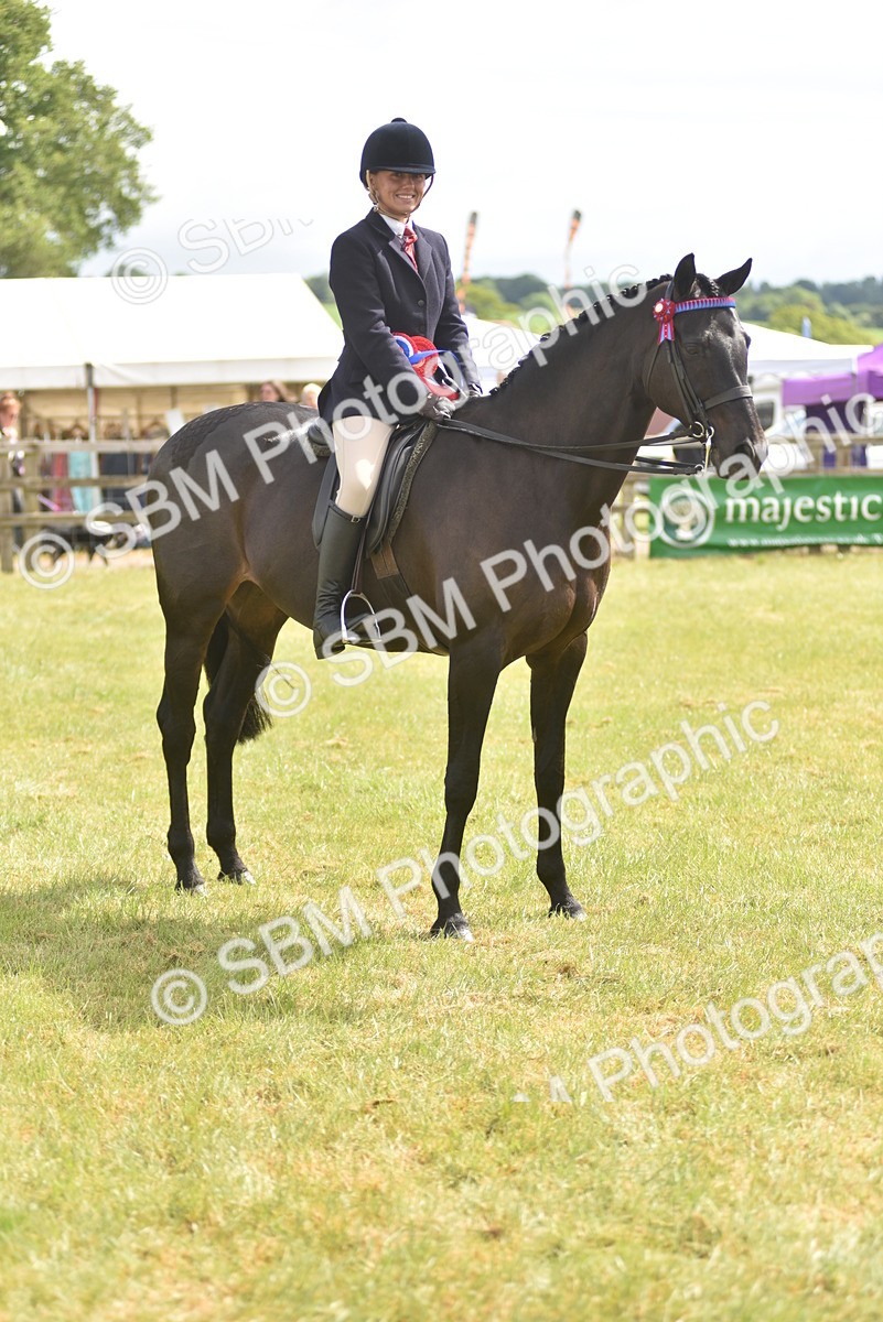 SBM_12176 - Class 110-112 - LIHS BSPS Performance Pones