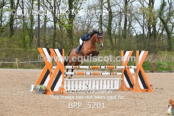 BPP_5201 - CLASS 19 SUN Senior Foxhunter/ 1.20m Open