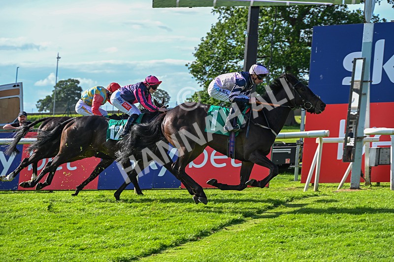 310526-Race 4-Brielle-8873 - Race 4 17.15pm Sky Bet Extra Places Handicap