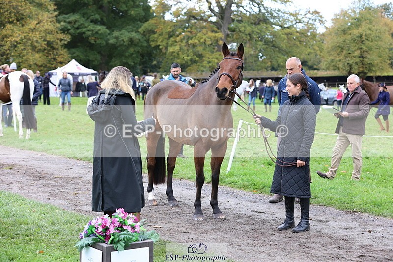 251026A-110830-25252 - G-504-Eliza.Langman-Rouse