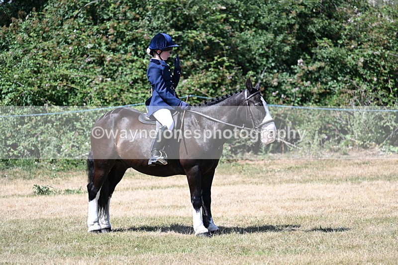WJ7_3671 - Class 8 Ridden Veterans