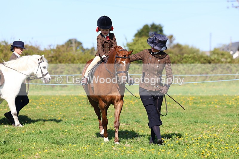 3E7A8916 - Class 2: Lead rein