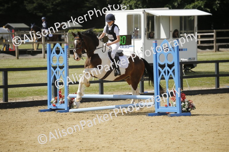 20250622-3882 - 50cm