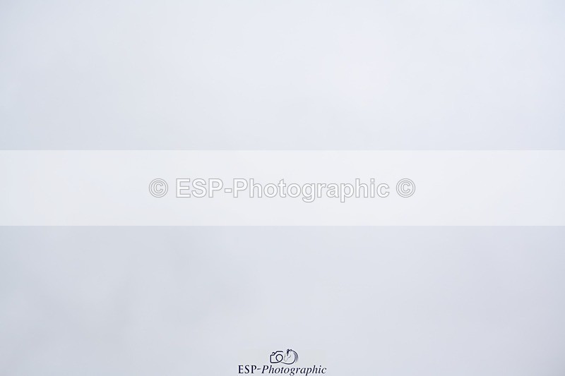 230813-163151-08351 - Elem Bronze Presentations