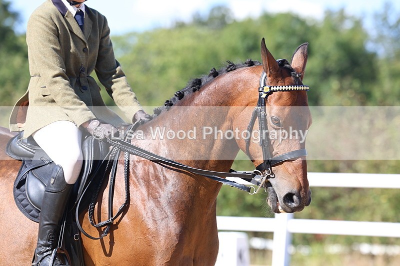 3E7A5751 - Class 10: Riding Horse