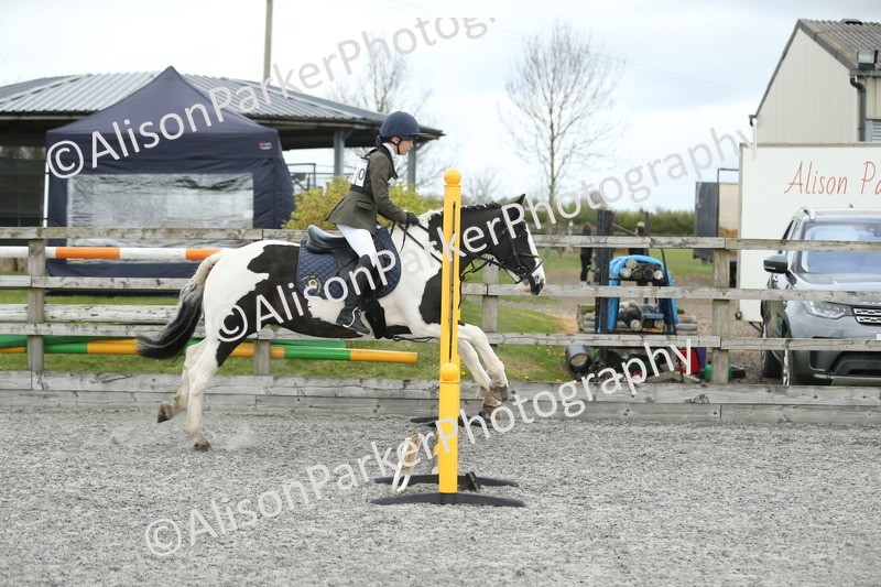 20260412-0627 - Show Jumping