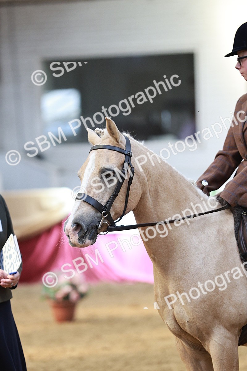 SBM_07191 - Class 10R - Regional Ridden Diamond