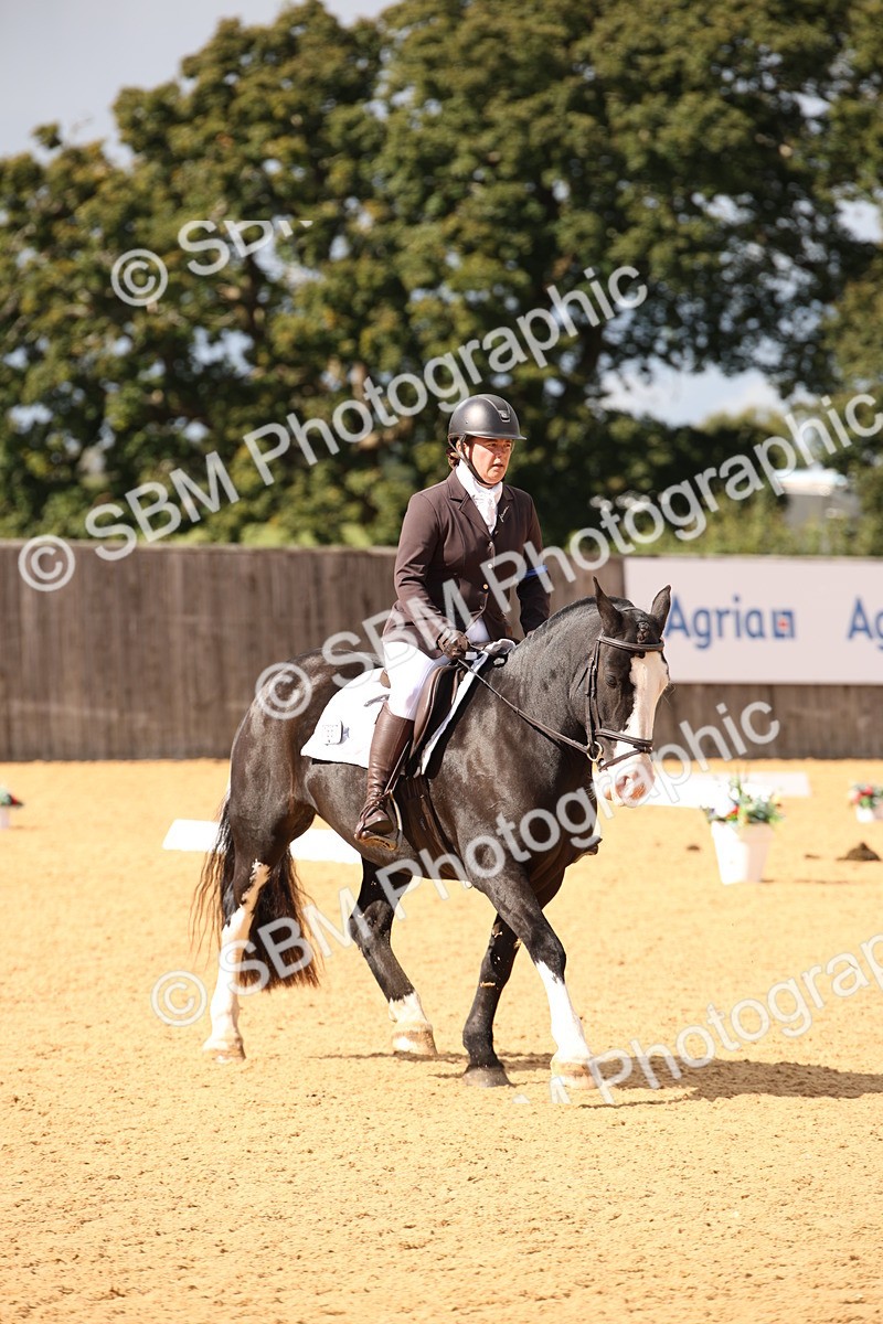 SBM_08895 - D8 Small Tour Championship Prelim 7