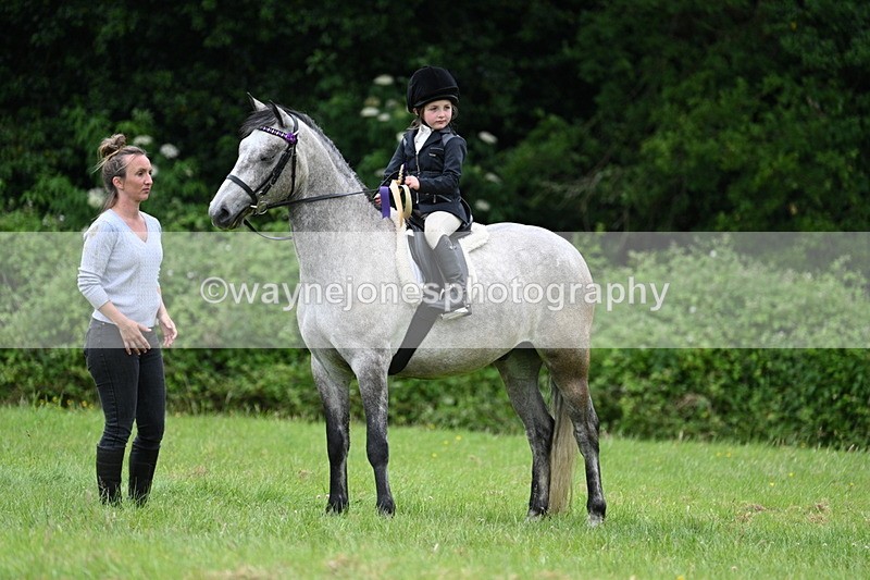 WJ7_4265 - Class 14A Handsome Gelding