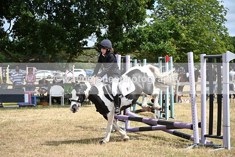 WJ6_5375 - Class 12 Minimus Jumping 45cm