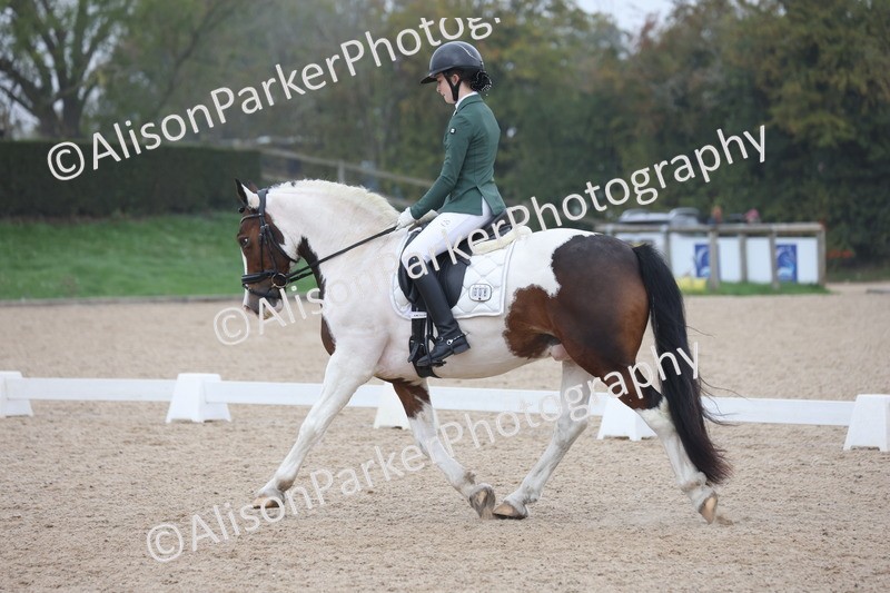 20251012-0579 - Class 5 - Elementary 5