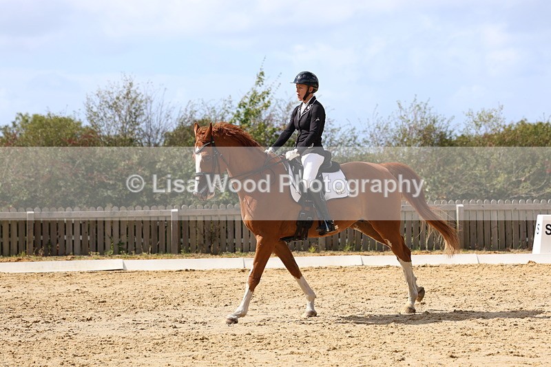 3E7A4838 - Class 11: Elementary Music