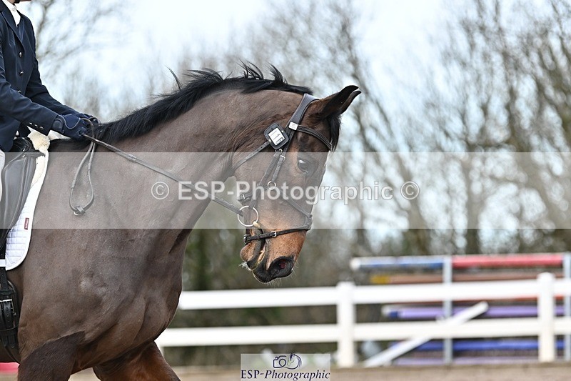 250125-135516-00720 - Dressage - CT Class 7 BE Novice 112