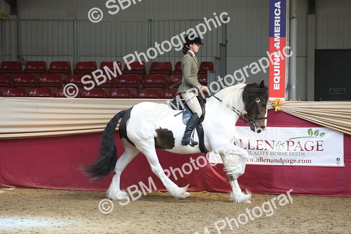 SBM_23754 - class 906 - Supreme Final - Ridden Pre Vet