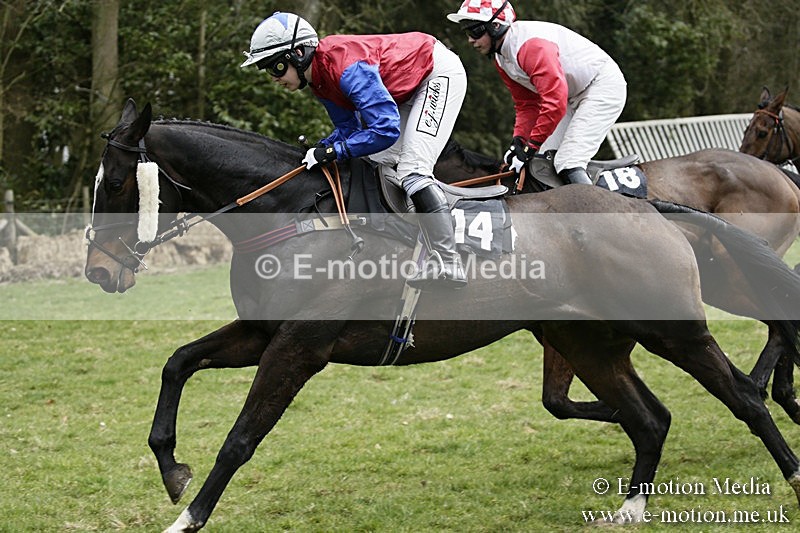 PtP 110318 125 - Hampshire Hunt Point-to-Point Hackwood Park 11/03/18