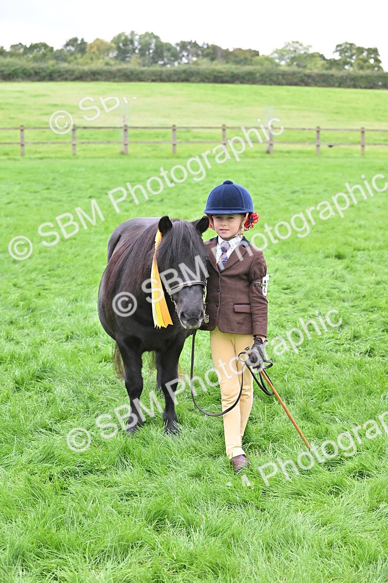 SBM_61058 - S48 - Mountain & Moorland In Hand Small Breeds