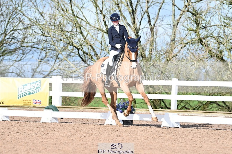 240218A-114412-06825 - 272-Beth.Bainbridge-Newton.Dreamcatcher