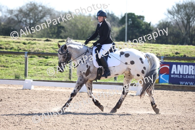 20260318-0469 - Class 5 - Novice 2