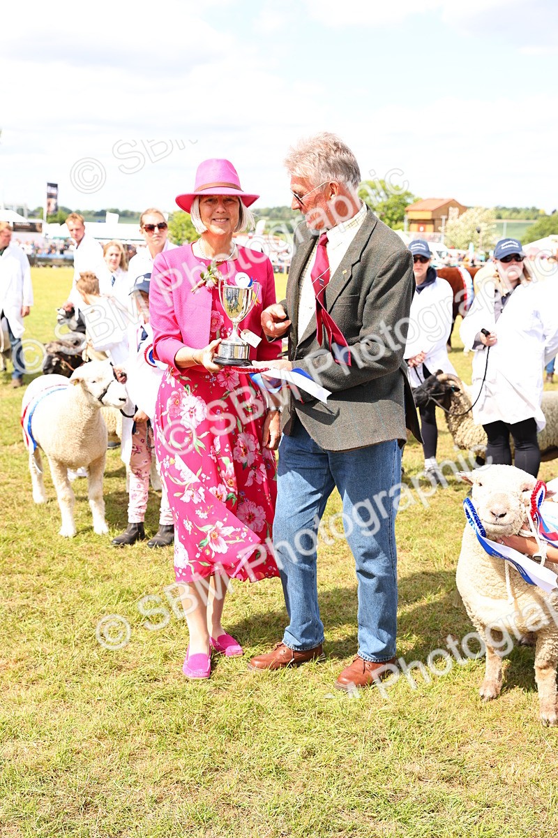 SBM_17006 - Grand Parade