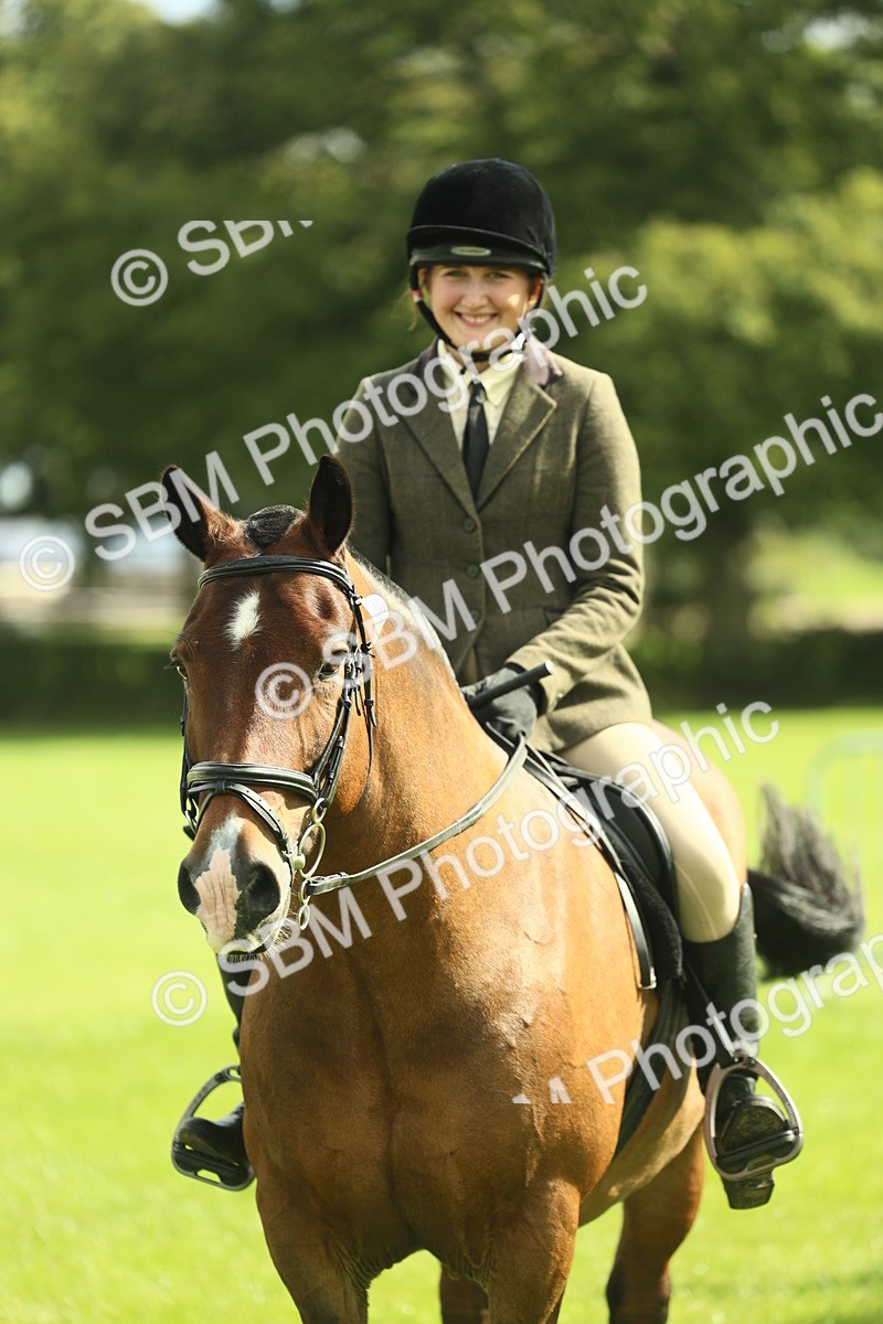 SBM_42145 - S29 - Novice & Newcomers Working Hunter Pony