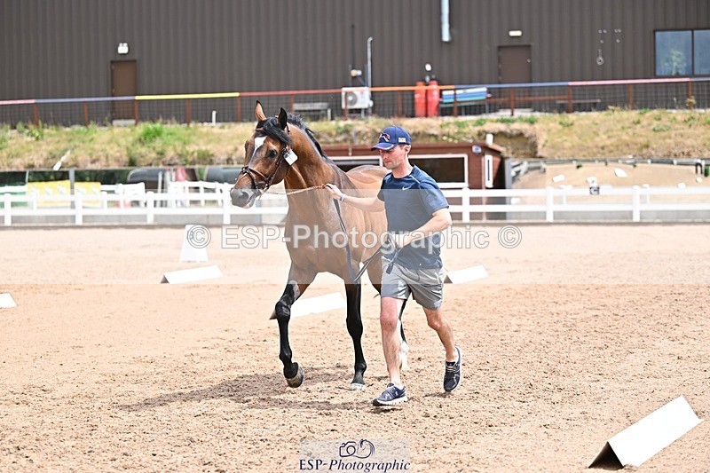 250716-132648-00517 - Trot Up 12.30 to 1.30