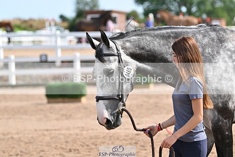 240717A-160926-03329 - Trot Up 4pm to 5pm