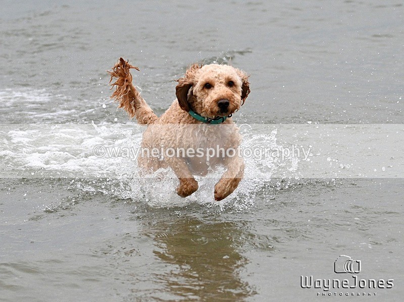 WJ7_9867 - Hayling Island Beach Shoot 22-09-24
