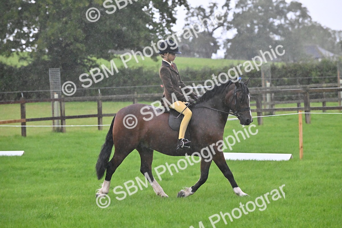 SBM_35668 - S16 - Top Turnout - Ridden