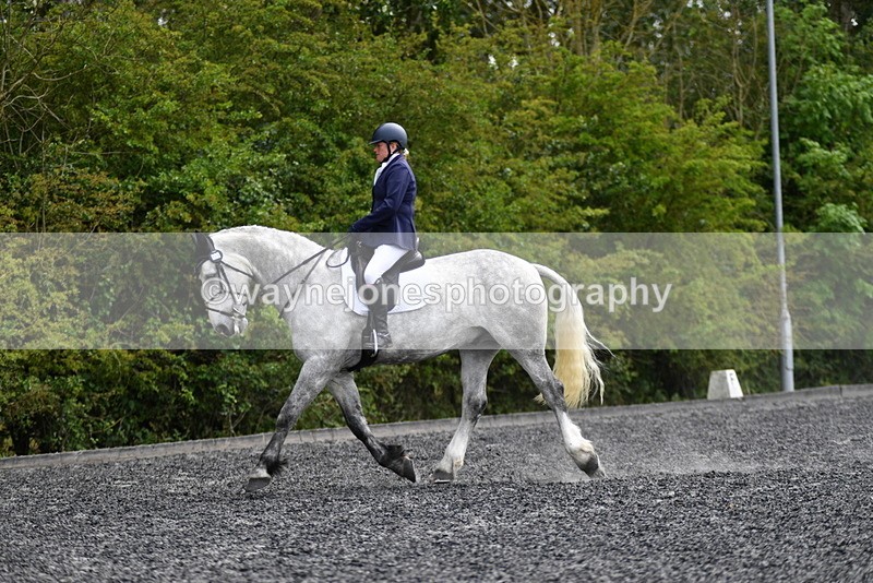 WJ5_2034 - Time 15:05 to 15:30