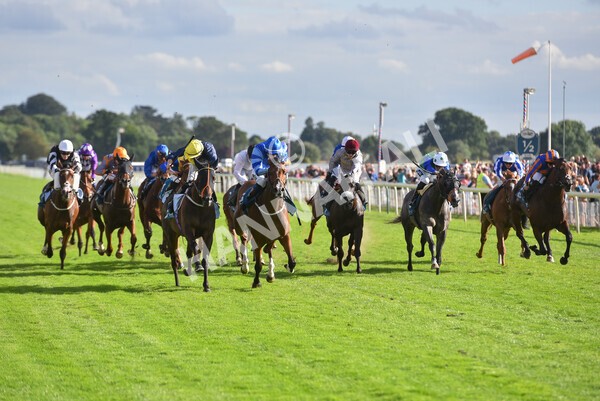 yr19082022r7-35 - Race 7 5.20pm Sky Bet Mile Stakes