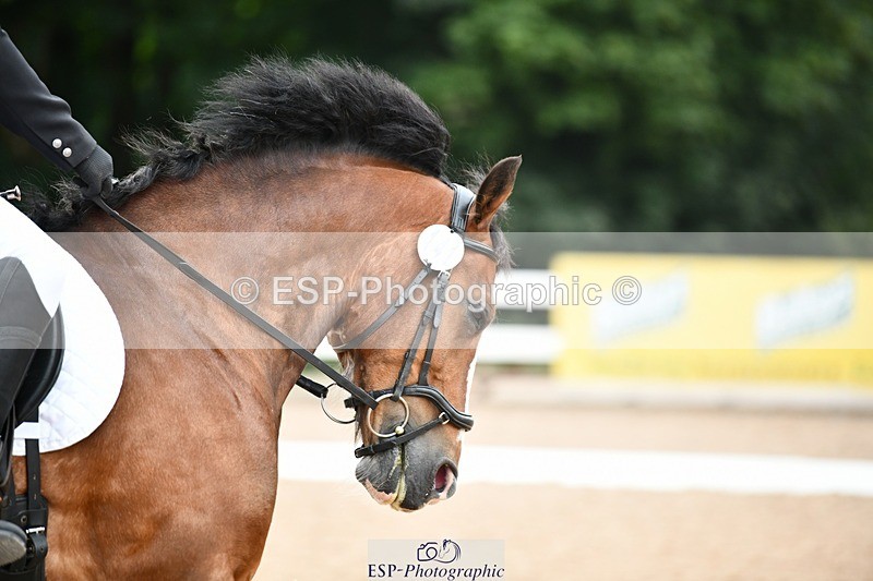 250705-092827-00019 - BRCP1 Sections BRCP1SNR, BRCP1JNR 09-30 to 10-40