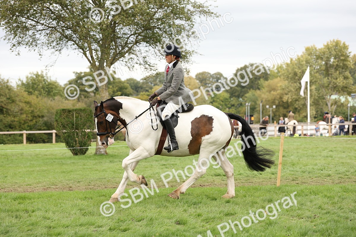 SBM_67273 - S67 - Piebald & Skewbald Horse Ridden