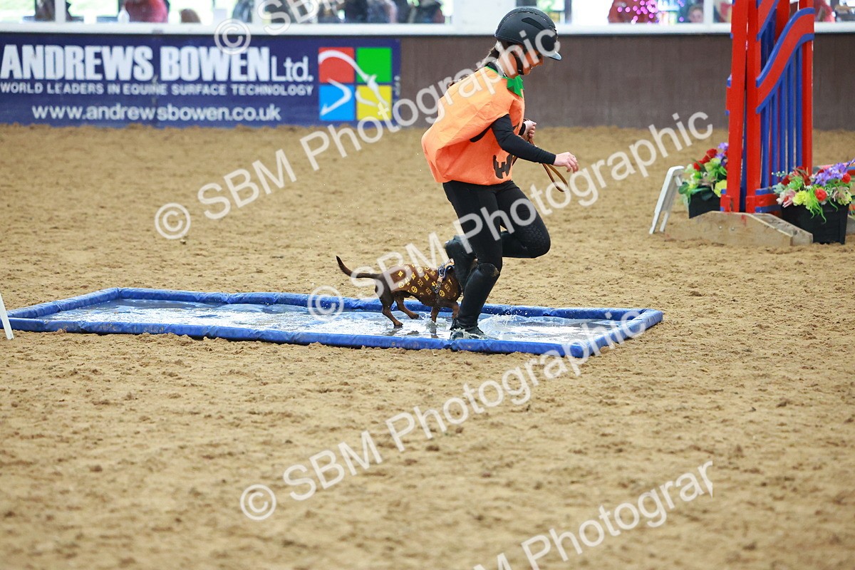 SBM_002215 - Class 3 - Horse & Hound (60cm)