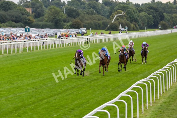 230823-Race 3-Continuous-4195 - Race 3 3.00pm Sky Bet Great Voltigeur Stakes