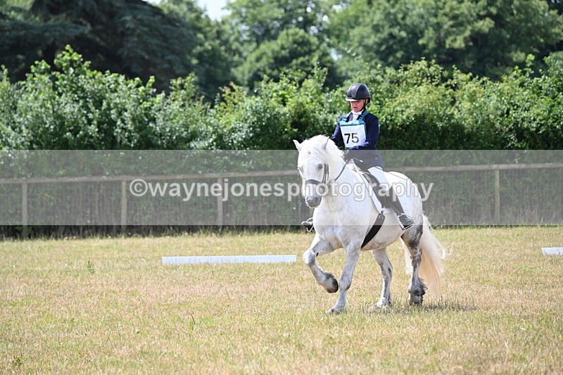 WJ6_3397 - Time 11:34 to 11:43