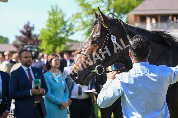 140525-Race 3-Inisherin-2272 - Race 3 3.13pm 1895 Duke Of York Clipper Stakes