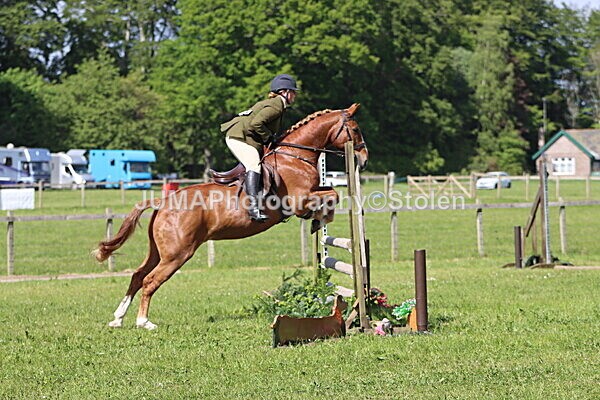 IMG_4890 - Working Hunter
