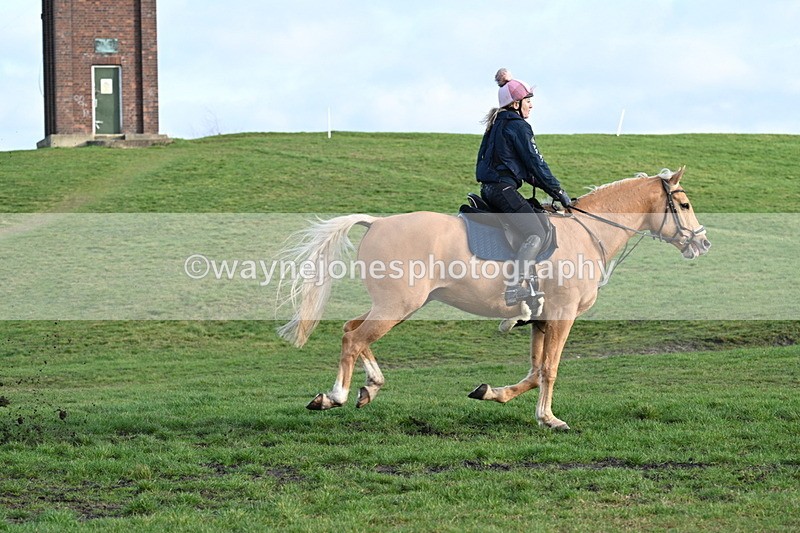 WJ7_9095 - Time 11:14 to 11:17