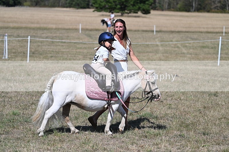 WJ7_1405 - Class 41 Prettiest Mare