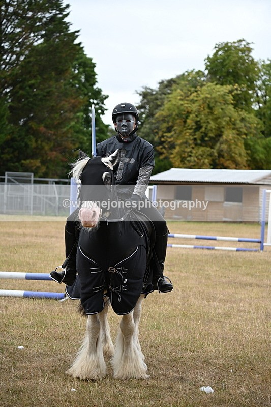 WJ6_8978 - Class 11 Fancy Dress