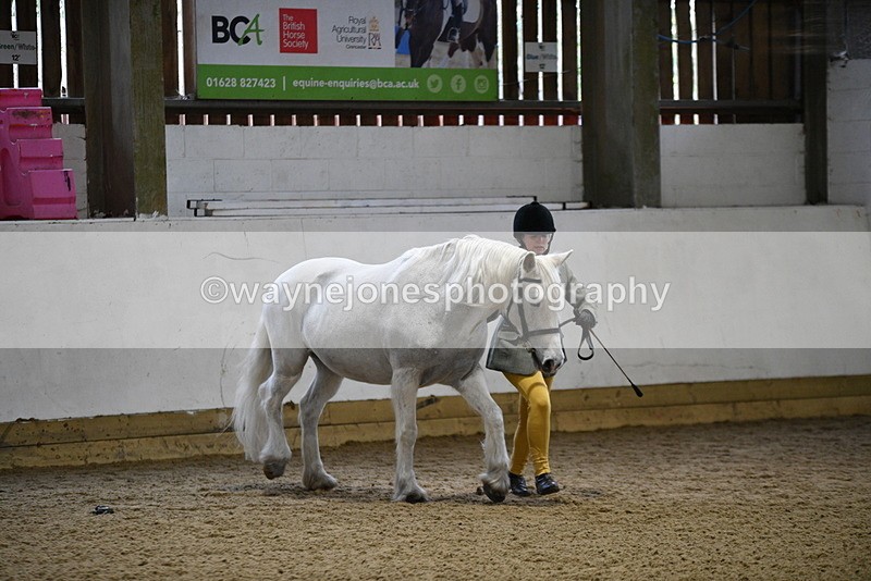 WJ5_4605 - Class 3 Part Bred In hand