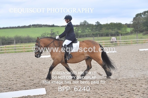 BPP_6240 - ELEMENTARY TEST 4 LONG ARENA