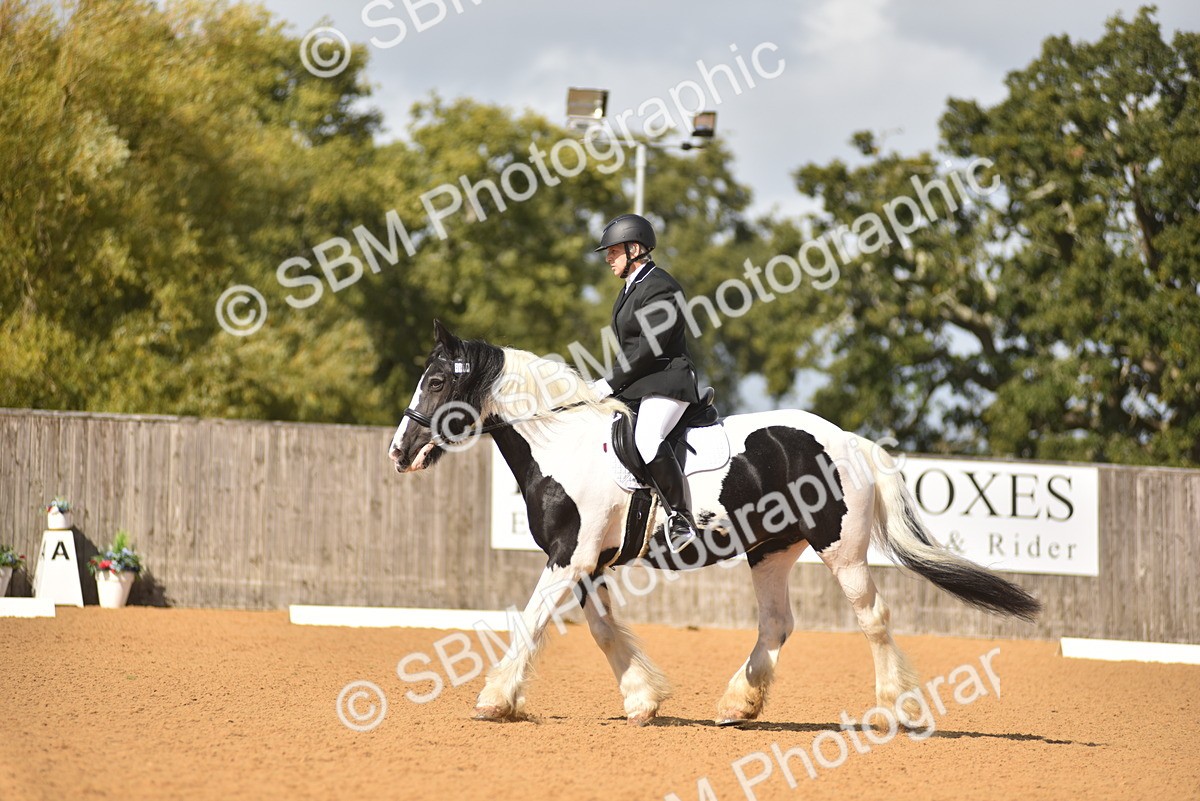 SBM_03370 - D4 - Small Tour Championship Intro 4