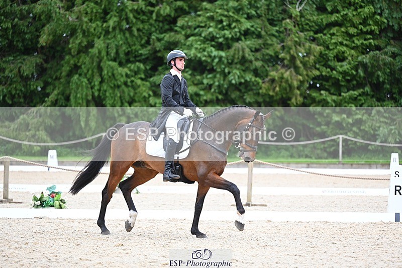 240524-175902-11537 - 162-HAZZLE_DAZZLE-Henry_Hobby