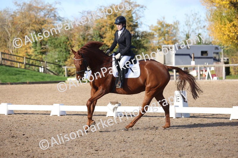 20251102-0601 - Class 4 - Novice 6