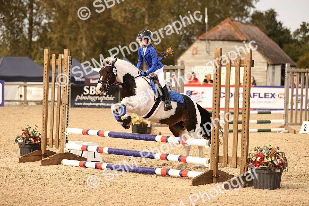 SBM_70810 - J13 - Junior Pony 60cm Championship
