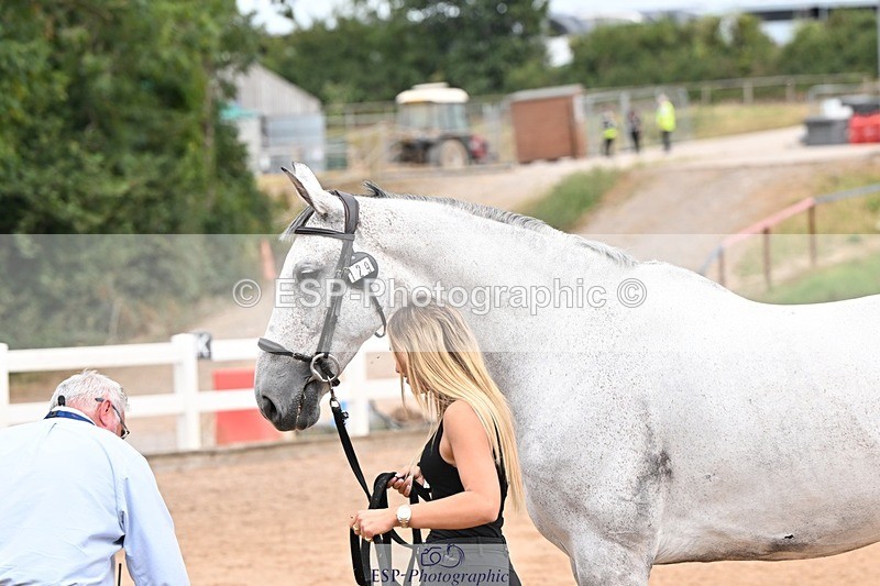 250716-144519-01368 - Trot Up 2.30 to 3.30