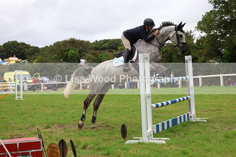 3E7A8550 - Class 8: Senior Foxhunter/1.20m open