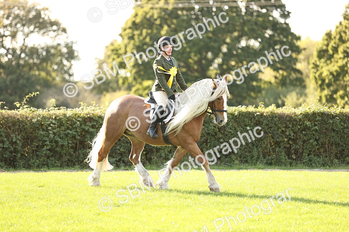 SBM_26511 - S6 - Novice & Newcomers Ridden Horse